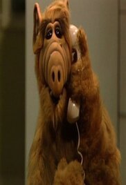 ALF