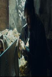 Le Comte de Monte-Cristo