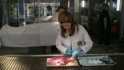 Body of Proof