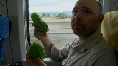 An Idiot Abroad