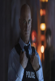 Law Order Organized Crime