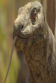 Prehistoric Planet 2022