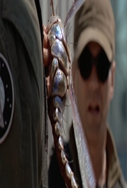 Stargate SG-1