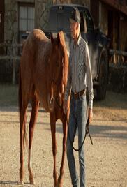 Dutton Ranch